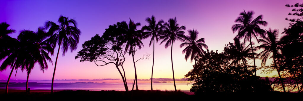 Painted Paradise