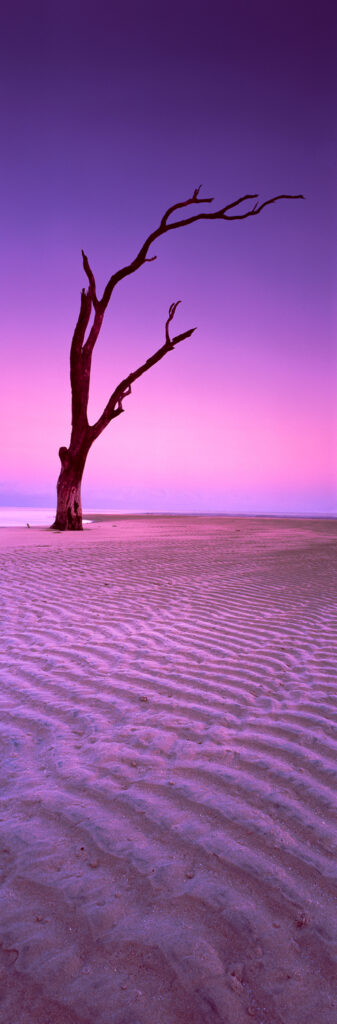 Irradiated Dawn