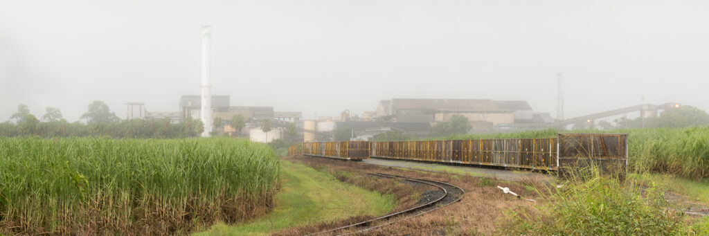 Farleigh Fog