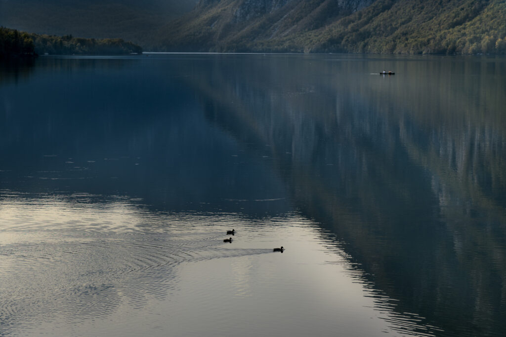 Lake Bohinj, Slovenia